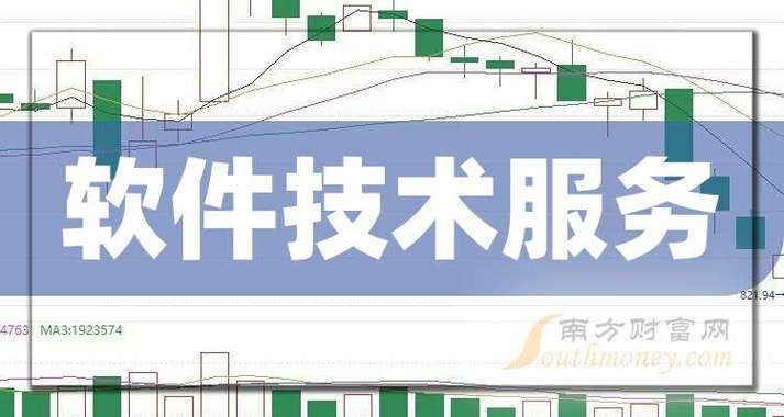 2025年软件技术服务与软件外包服务企业精选名单